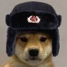Фото профиля SocialistDoggy.bsky.social
