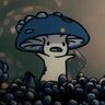 Profilbild von ethann