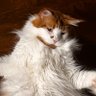 arlo d.'s profile picture