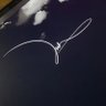 calvintan's profile picture