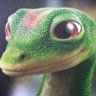 TUQUEQUE's profile picture