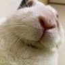 ゆきゆき profil fotoğrafı