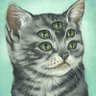 Justlookin's profile picture