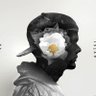 Nnrottssiegel's profile picture