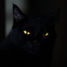 Profilbild von Creidor