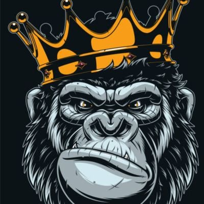 HumoooPuroo's profile picture