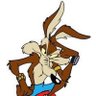 Wile G profil fotoğrafı