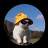 Profilbild von tay 🇭🇺