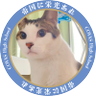 Profilbild von チビにじ用💧