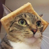 Haru Pollo Frito🐈's profile picture