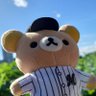 マー太郎💐*̣̩⋆̩🐸🕊🍑🍥🐇's profile picture