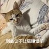 乐意吃桌饺 profil fotoğrafı