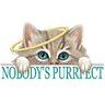 Profilbild von Curtis Losky