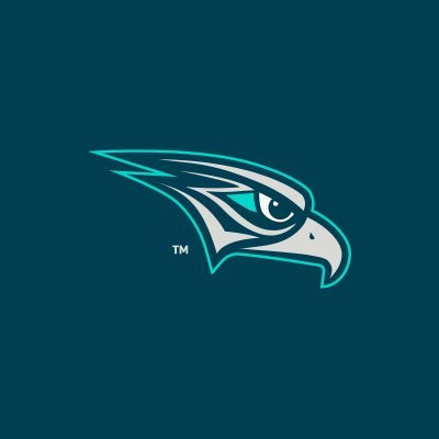 MidEastFalcons's profile picture