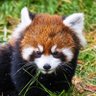 Profilbild von Yogie not givin' in!