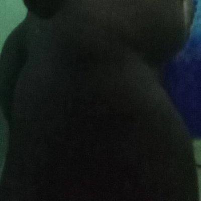 Chadja7's profile picture