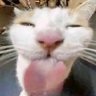 evanxo's profile picture