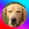 Profilbild von Jacob