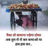 Rupan Kumar 的头像