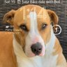 Stigox profil fotoğrafı