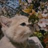 Bhagya's profile picture
