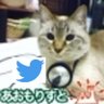 Profilbild von ちゃろ@charo7/22