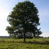 Фото профиля waer5223