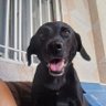 Фото профиля eu_lua