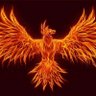 Profilbild von V_Nesco