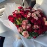 عـــابِــــرة🕊️'s profile picture