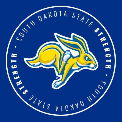 SDStateStrength's profile picture