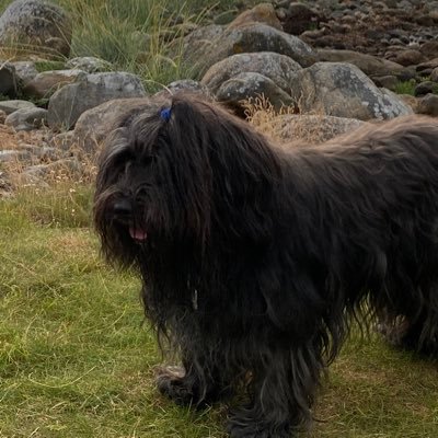 JMalmenlid77618's profile picture