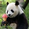 Zago 的头像