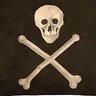 philip tao's profile picture