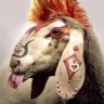 Oveja Punk 的头像