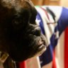 Nacho S.'s profile picture