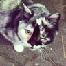 Profilbild von なこ
