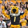 M-I-Z til I D-I-E's profile picture