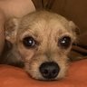 B's profile picture
