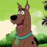 Фото профиля whatwouldscoobydoo