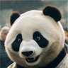 Фото профиля SWORDSJIANG蒋大侠
