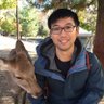 Rick Ling's profile picture