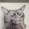 Profilbild von el_Gato