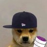 ¡_Doguin_!'s profile picture