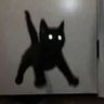 swifty-'s profile picture
