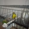Фото профиля Covid18