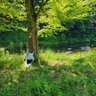 Profilbild von sub_aru @7/15幕張