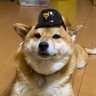 廣岡中毒 巨党's profile picture
