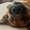 Profilbild von Ruby