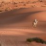 1727م🐪 的头像